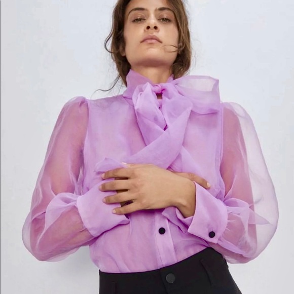 Zara Lavender Sheer Bow-Tie Blouse - Picture 4 of 16